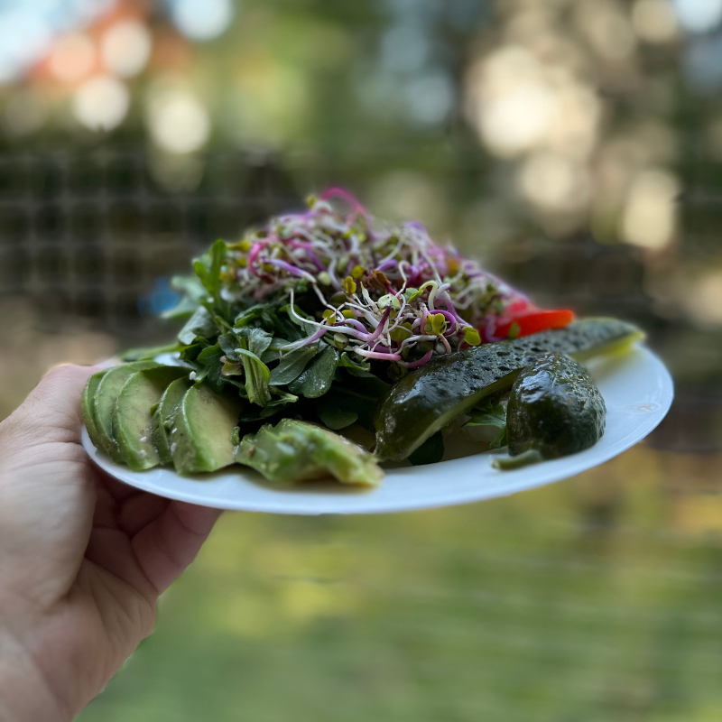 odchudzanie Wrocław